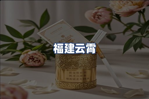 福建云霄